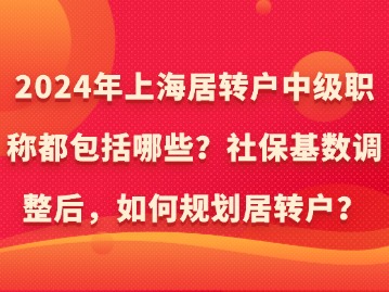 2024年上海居转户中级职称都包括哪些？社保基数调整后，如何规划居转户？